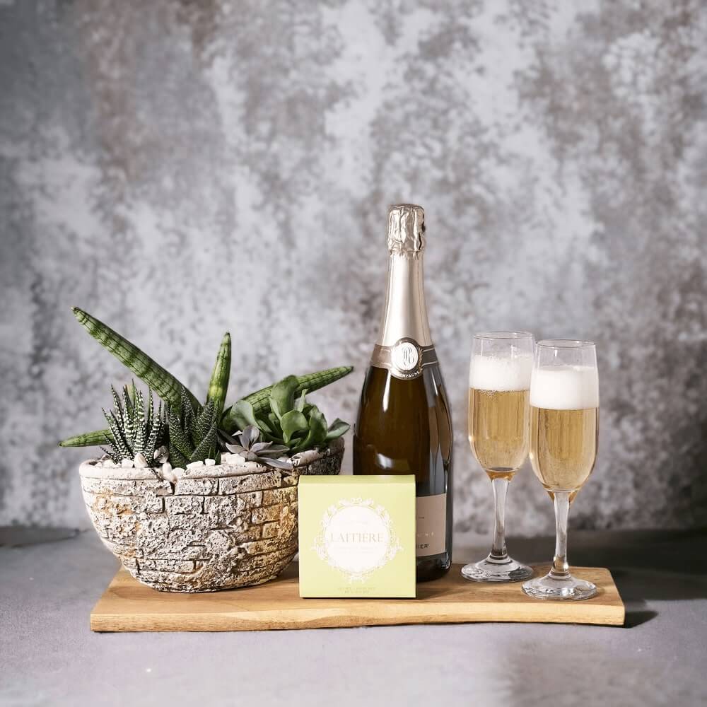 Succulent &amp; Sparkling Wine Gift Basket