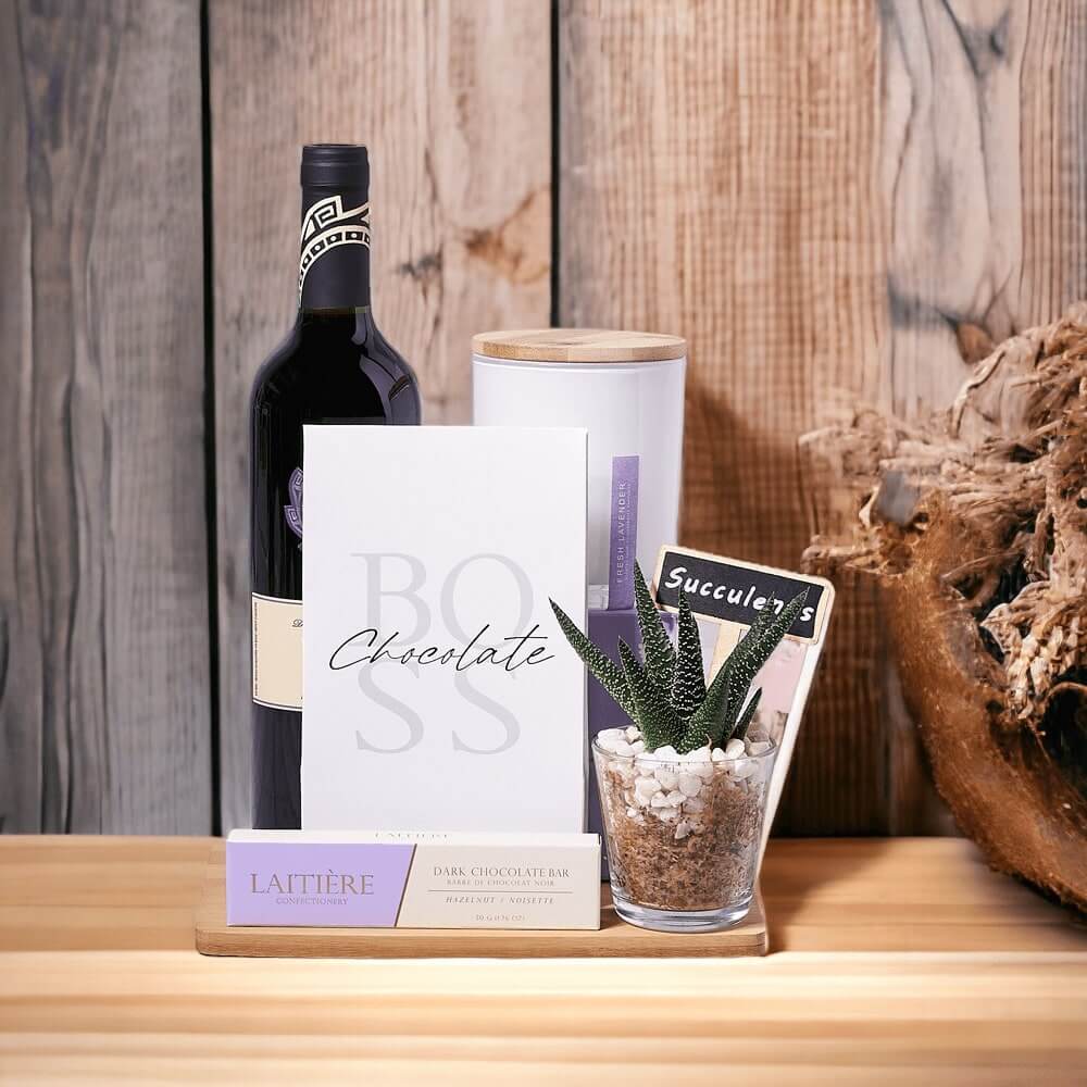 Succulent &amp; Wine Relaxation Gift Basket